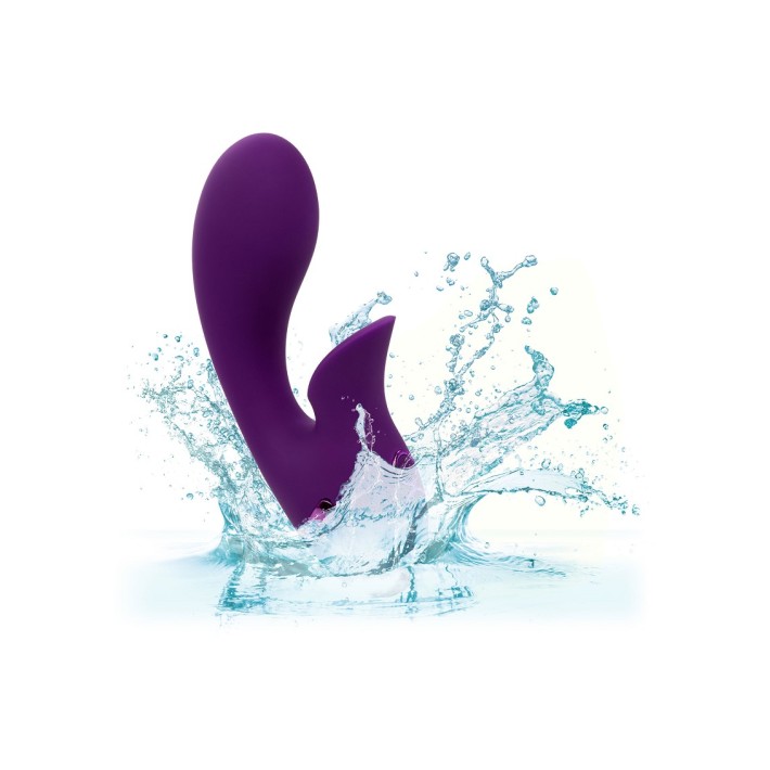 Vibrator Huntington Beach California Dream 6