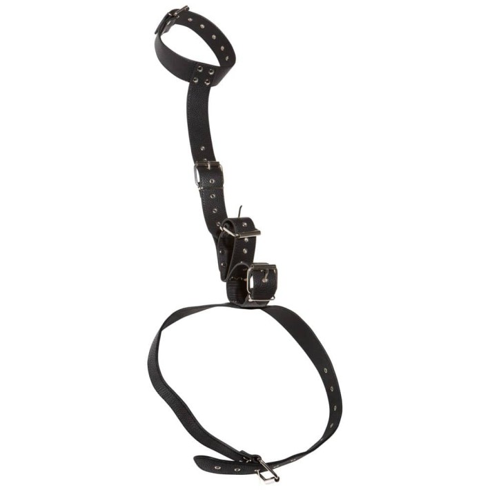 Bad Kitty Neck And Hand Restraints 7