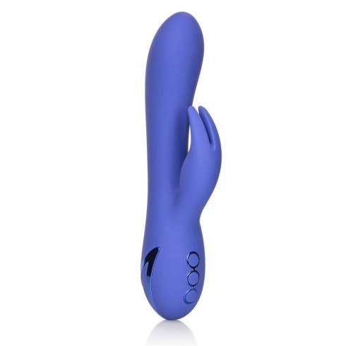 Vibrator Rabbit Beverly Hills Bunny California Dreaming