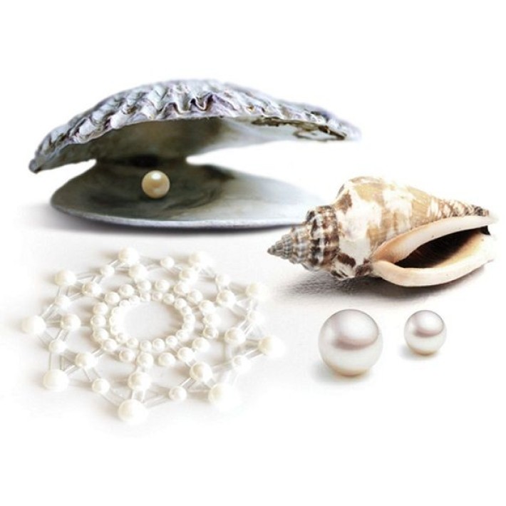Bijuterii Intime Adezive Nipple Covers Mini Perle, Argintiu 2