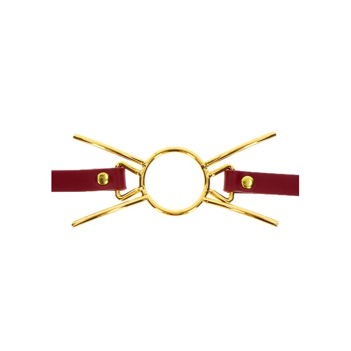 Calus Pentru Gura Deschisa Spider Taboom 5