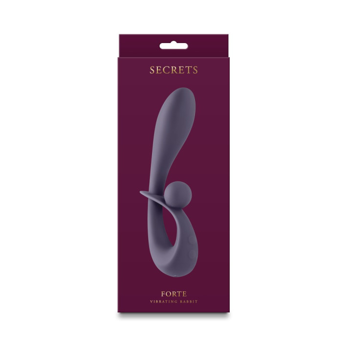 Secrets - Forte - Gray 4