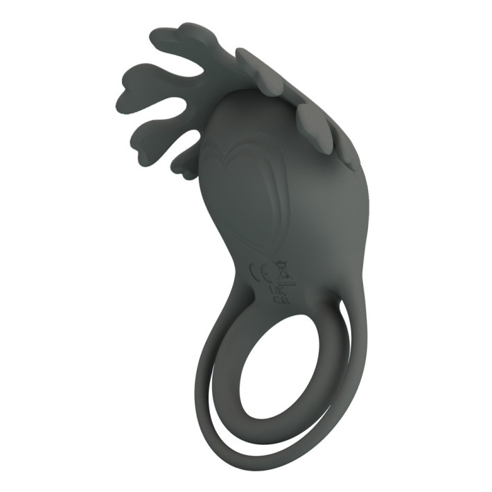Pretty Love Master Ring Vi 4