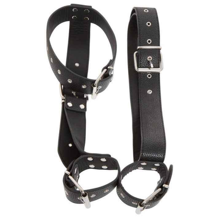 Bad Kitty Neck And Hand Restraints 4