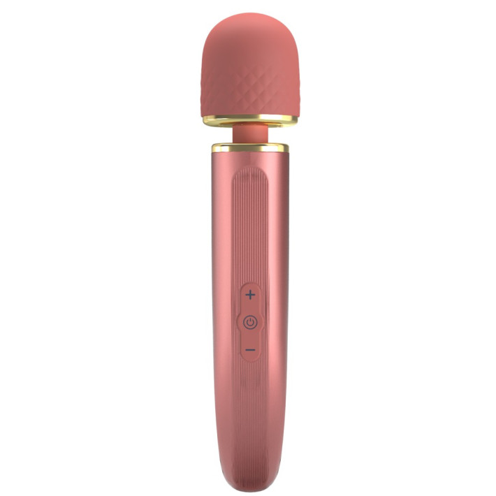 Pretty Love Interesting Massager Rose 5