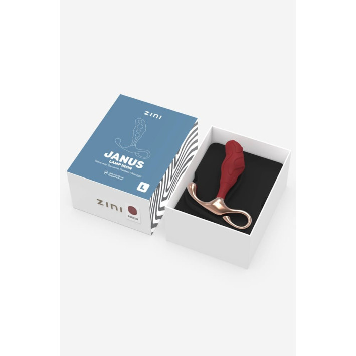Zini Janus Lamp Iron Prostate Massager L_b0o25_4 3