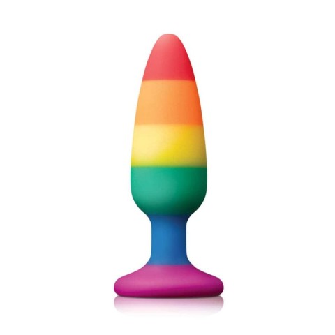 NS Toys, Dop Anal Multicolor Colours - Pride Edition Medium, 13 Cm, pasiune.ro