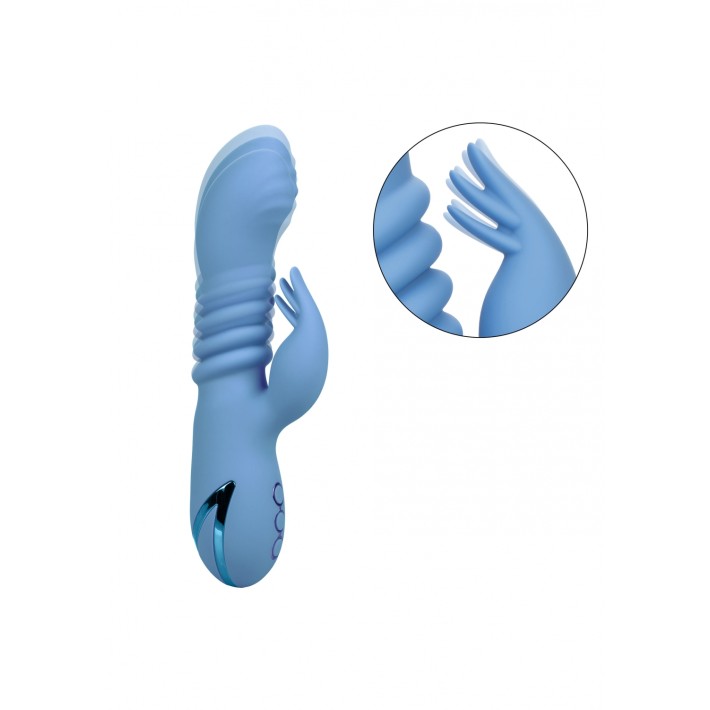 Vibrator Santa Cruz Coaster California Dream 4
