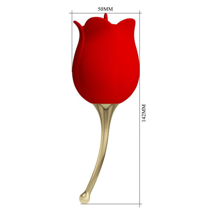 Pretty Rose Lover 6