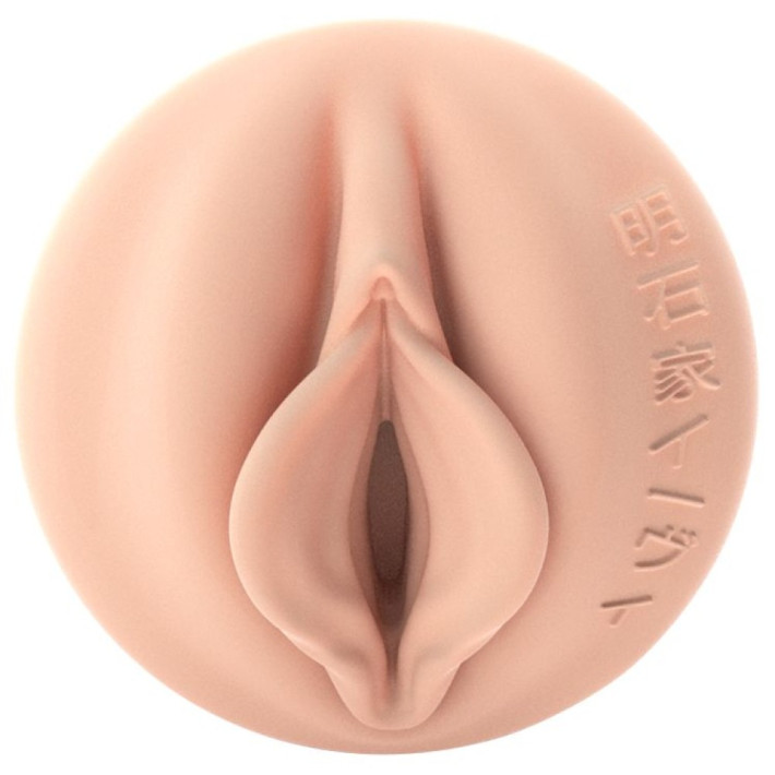 Masturbator Vagin Fleshlight Evie Akashiya 8