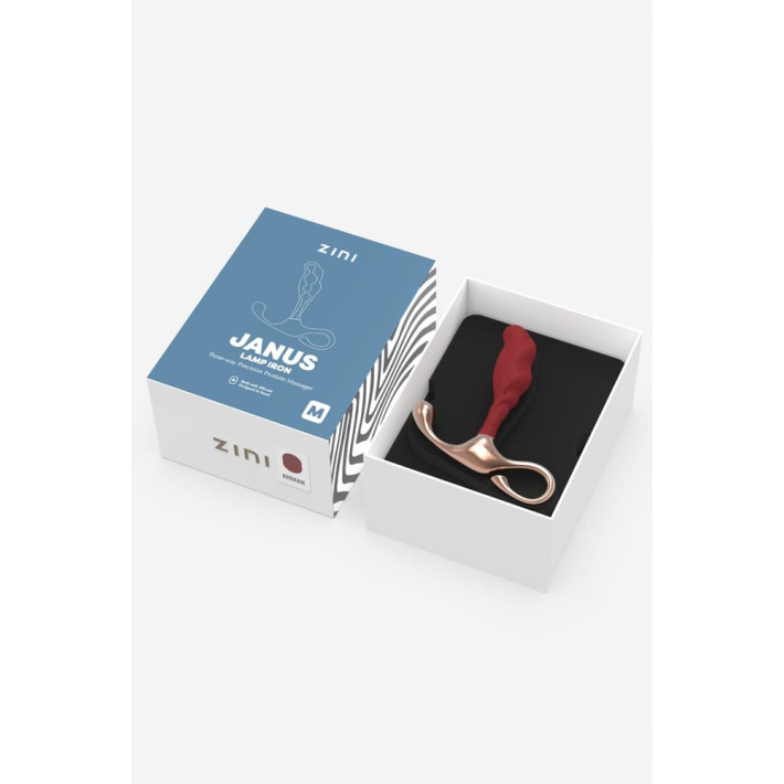 Zini Janus Lamp Iron Prostate Massager M_b0o25_4 3