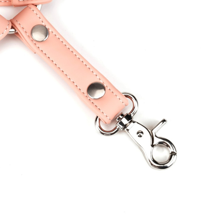 Pink Organosilicon Hogtie 4