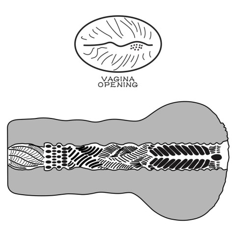 Pagina 6 - Vagine Masturbatoare, Masturbator Vagin Aliens Pie Masturbator 1, Natural, pasiune.ro