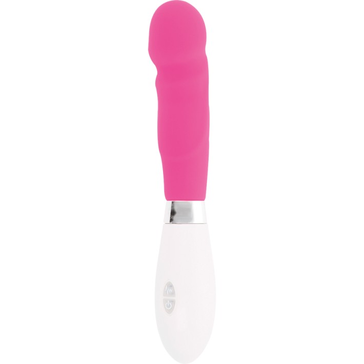 Vibrator Paul Roz Glossy 2