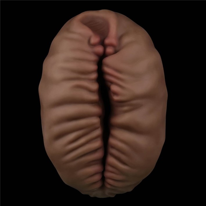 Masturbator Vagin Aliens Pie Masturbator 2, Brun 4