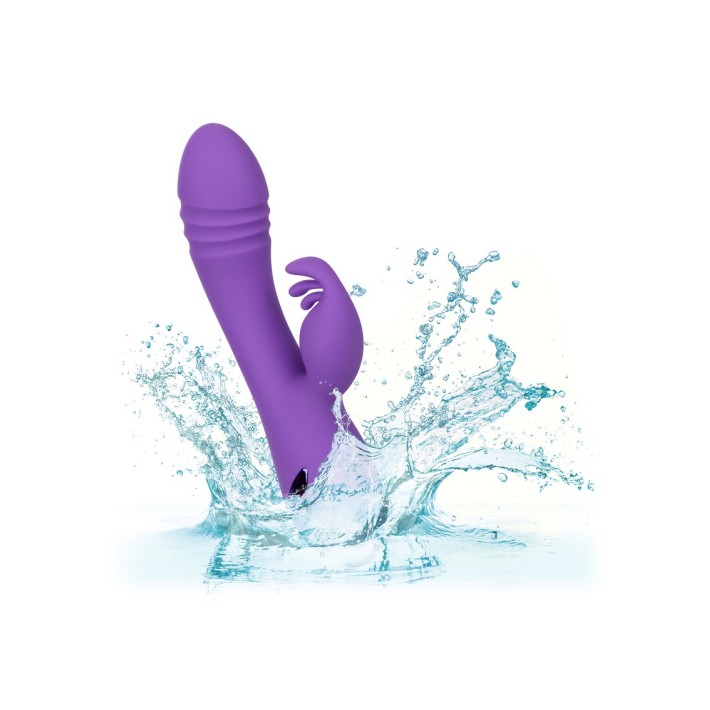 Vibrator Rabbit West Coast Wave Rider California Dreaming 5