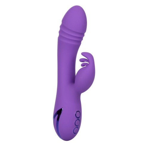 Vibrator Rabbit West Coast Wave Rider California Dreaming