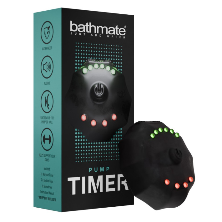 Pump Timer 4