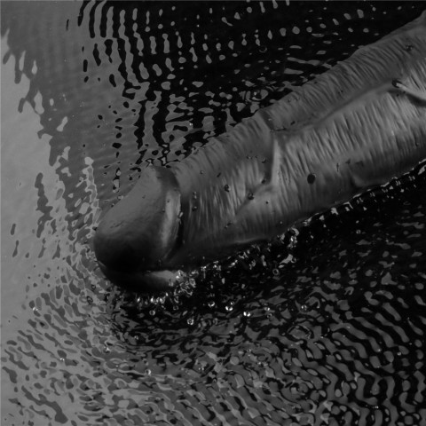 Pagina 3 - Vibratoare Realistice, 10.5