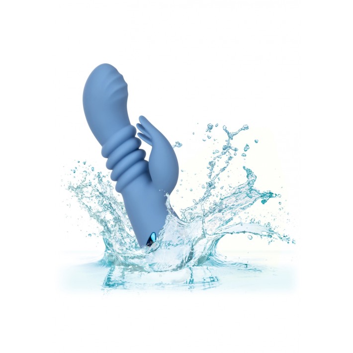 Vibrator Santa Cruz Coaster California Dream 3