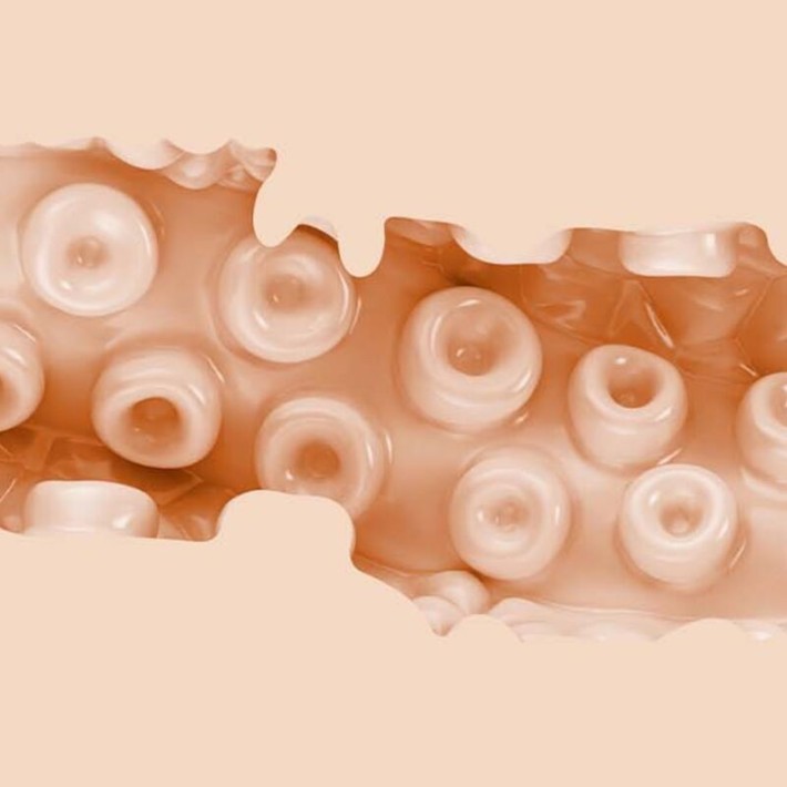 Masturbator Vagin Fleshlight Sasha Nakamoto 21