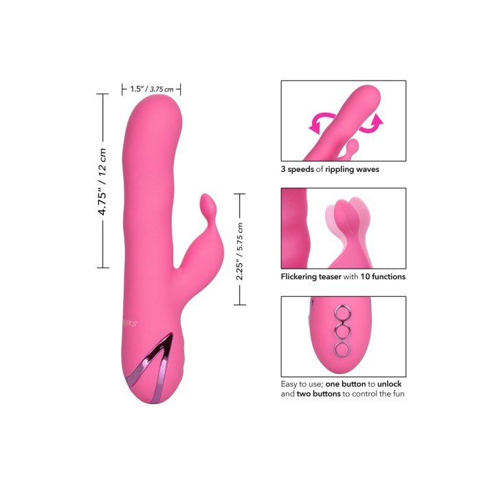 Vibrator Rabbit Santa Barbara California Dream 5