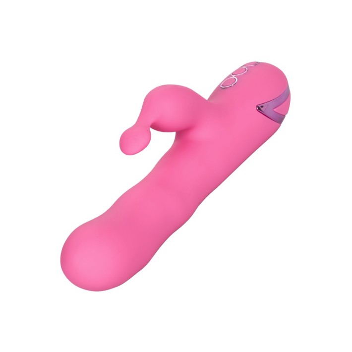 Vibrator Rabbit Santa Barbara California Dream 2