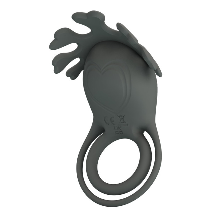 Pretty Love Master Ring Vi 3