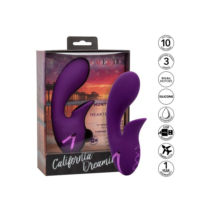 Vibrator Huntington Beach California Dream 8