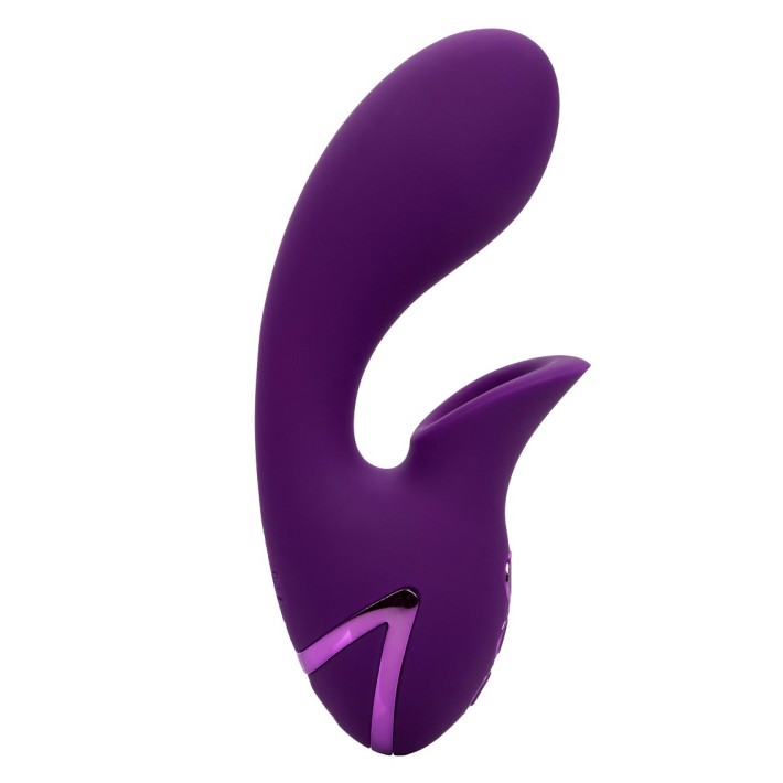 Vibrator Huntington Beach California Dream 4