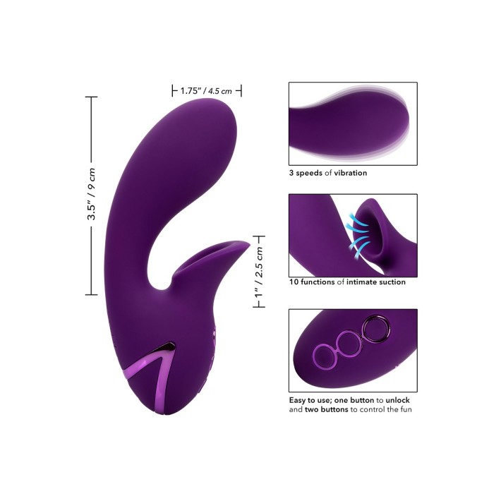 Vibrator Huntington Beach California Dream 7